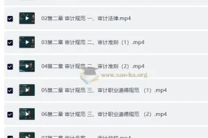 【高级审计师】25年高级审计师备考资料（教材+视频+讲义）