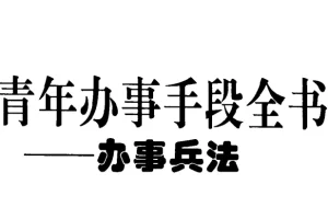 《青年办事手段全书》：掌握中国式处世谋略高效成事