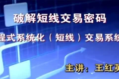王红英 期货日内短线交易技术波段战法课