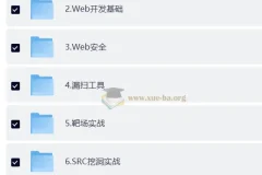 网络安全大师课2025版