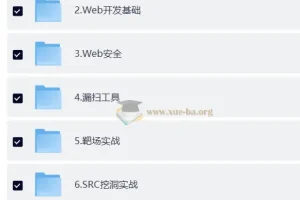 网络安全大师课2025版