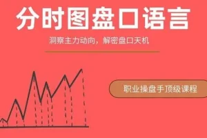 一飞金融 分时图盘口语言：绝密主力操盘课